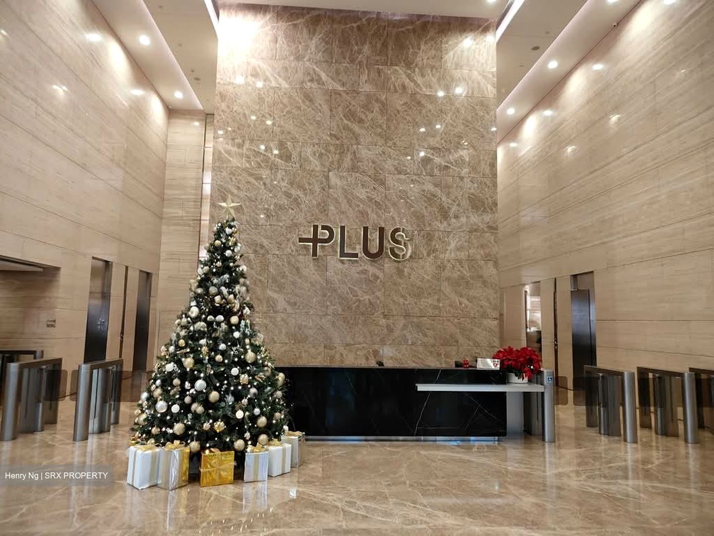PLUS (D1), Office #535103381